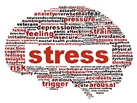 STRESS LÀ GÌ? VÀ CÁCH XẢ STRESS RA SAO?